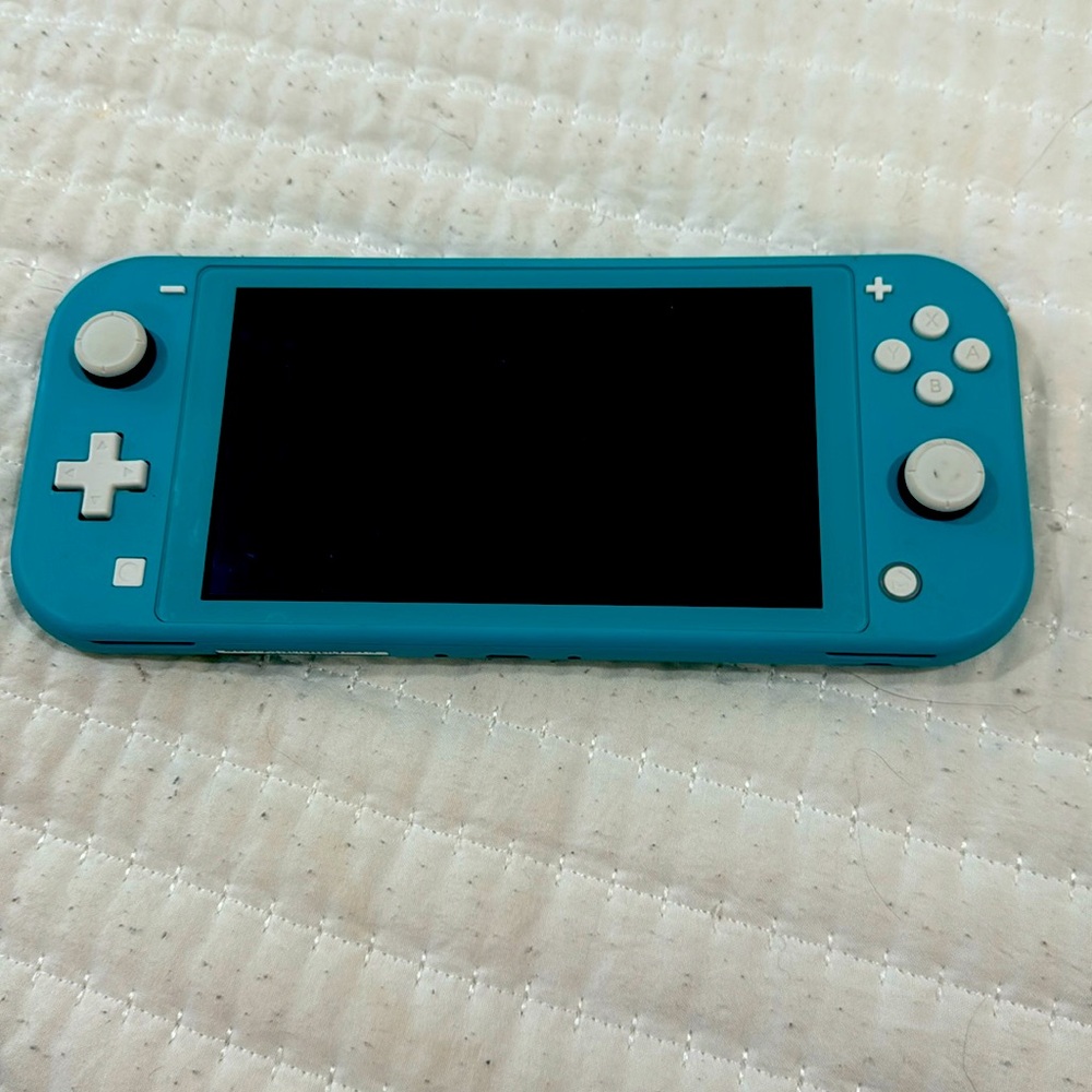 Teal. Nintendo switch lite.